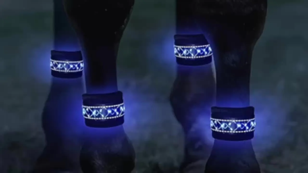 LED verlichting | Gevlochten Paard Beenbeschermers | Nacht Rijden | Veiligheid Paardrijden | Polyester | Knopcelbatterij - Image 19