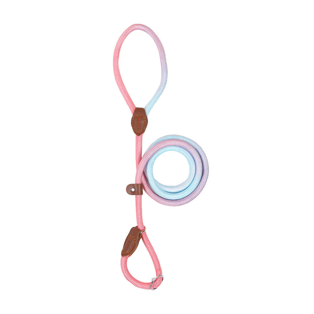 Kluwenvrije Nylon Hondenlijn | Ergonomische Grip | Duurzame Constructie | Geschikt voor Korte en Lange Wandelingen | Verkrijgbaar in Paars, Roze, Geel | Maten: S, M, L, XL | Modern Ontwerp - Image 8