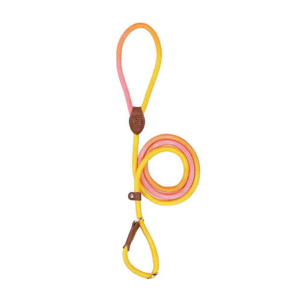 Kluwenvrije Nylon Hondenlijn | Ergonomische Grip | Duurzame Constructie | Geschikt voor Korte en Lange Wandelingen | Verkrijgbaar in Paars, Roze, Geel | Maten: S, M, L, XL | Modern Ontwerp - Image 9