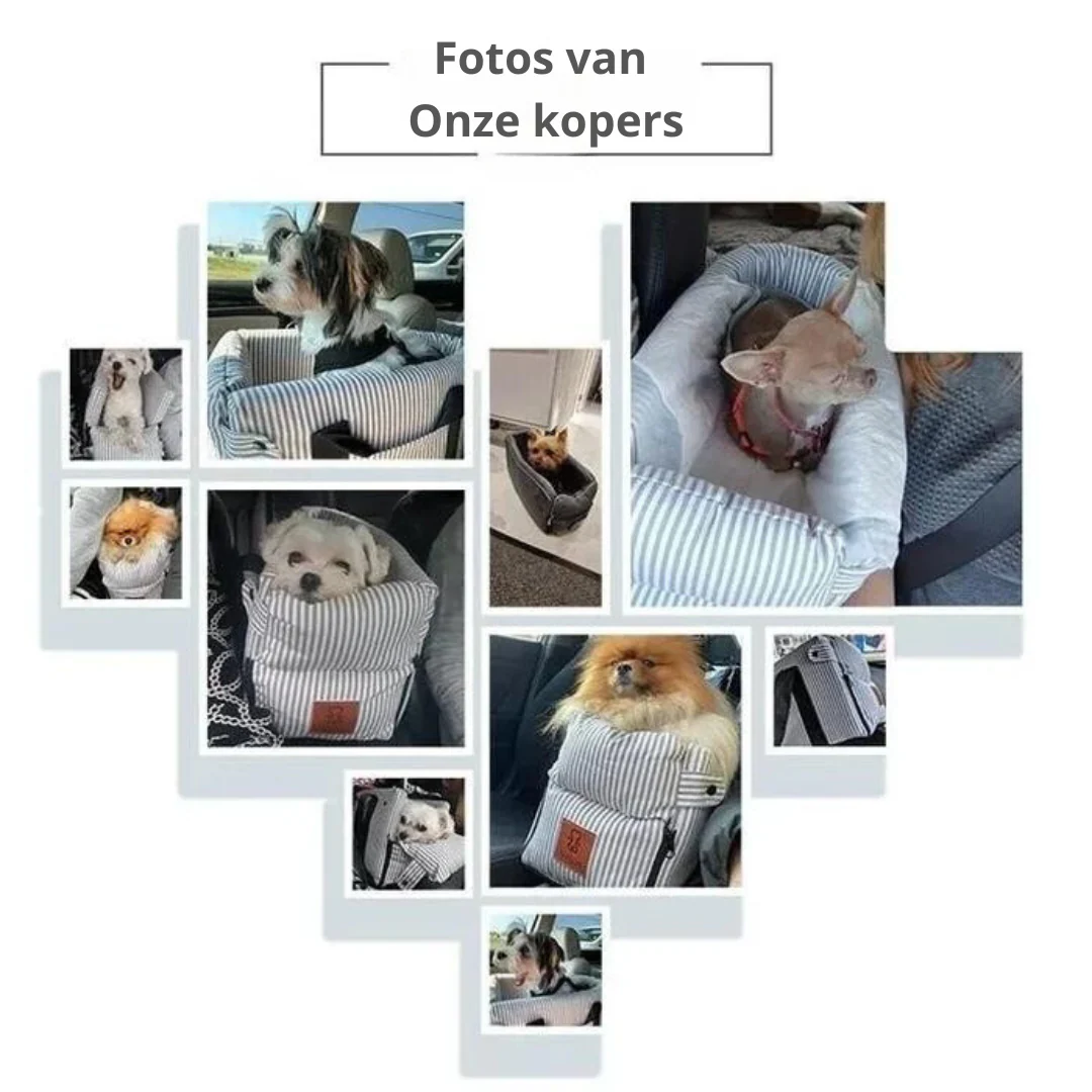 Lotte | Veilig Reiscomfort voor Honden in de Auto | Eenvoudig Te Plaatsen | Zachte Binnenkant | Waterbestendig | Verhoogd Ontwerp - Image 9