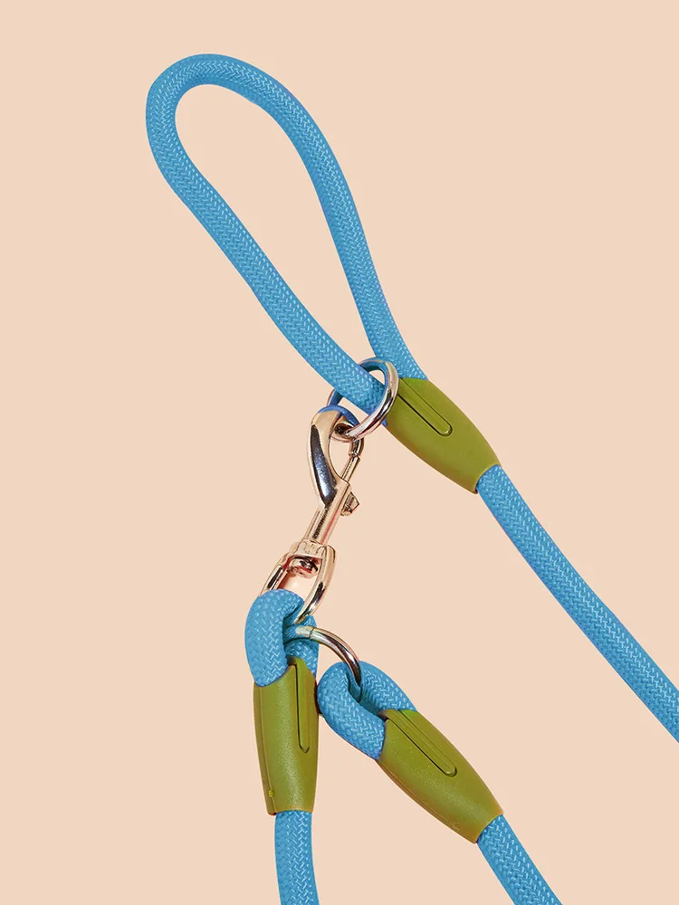 LumiPaw Handenvrije Looplijn | Reflecterend Nylon | Verstelbaar voor Alle Hondenmaten | Sterk voor Trainen, Wandelen & Joggen - Image 5