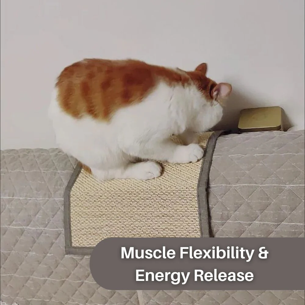 ScratchGuard™ Meubelbescherming Deluxe | Beschermhoes voor Bank en Fauteuil tegen Kattenkrabben | Premium Milieuvriendelijke Sisalstof | Bevordert Kattenwelzijn en Krabgedrag | Duurzame Bescherming voor Thuis - Image 7