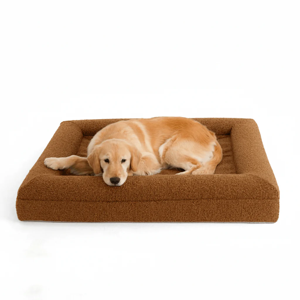 Luxe Orthopedisch Hondenbed van Geheugenfoam – Waterdicht & Wasbaar Hondenbed - Image 2