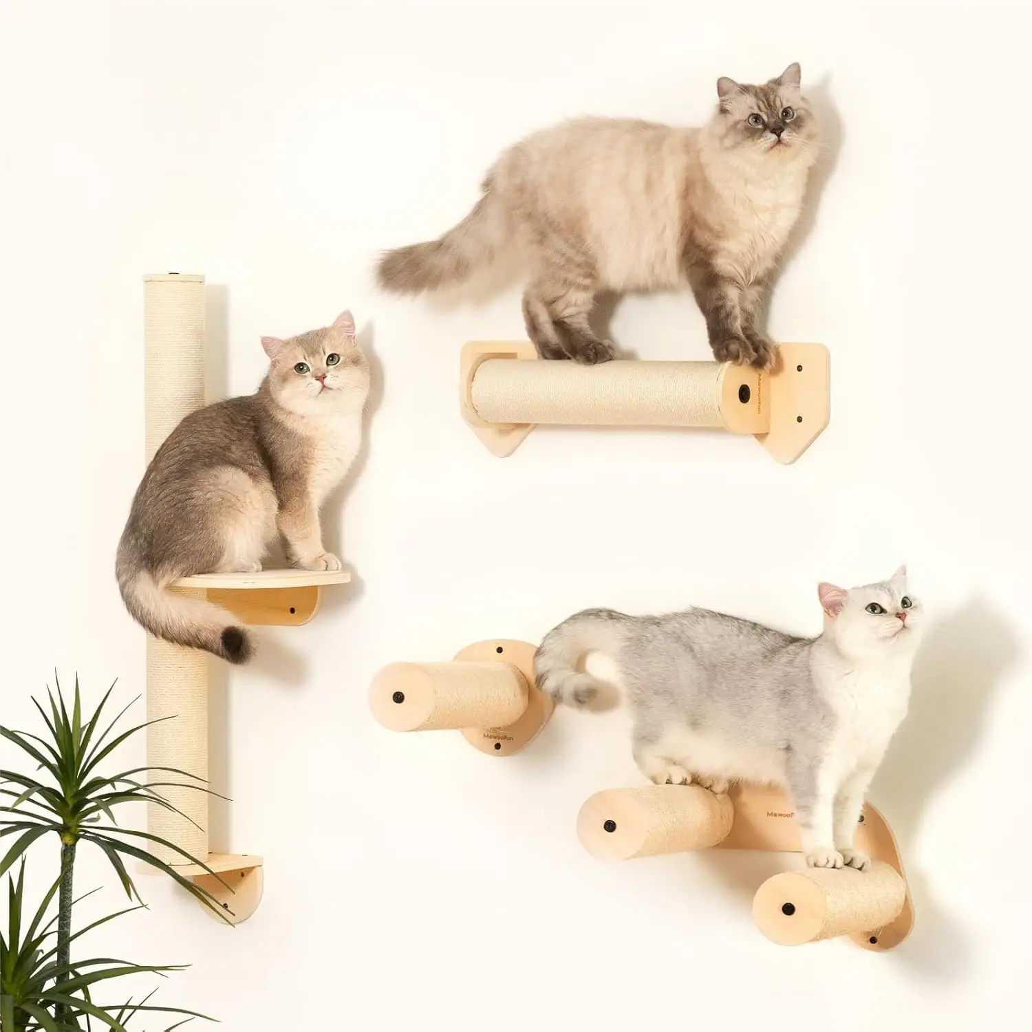 MEWOOFUN Krabmeubel Kattenwand | Natuurlijk Hout | Wandgemonteerd | Ruimtebesparend | Stijlvol Interieur | Katten Krabwand | Moderne Kattenmeubels | Duurzaam Sisal | Kattenklimrek | Eenvoudig te Monteren - Image 3