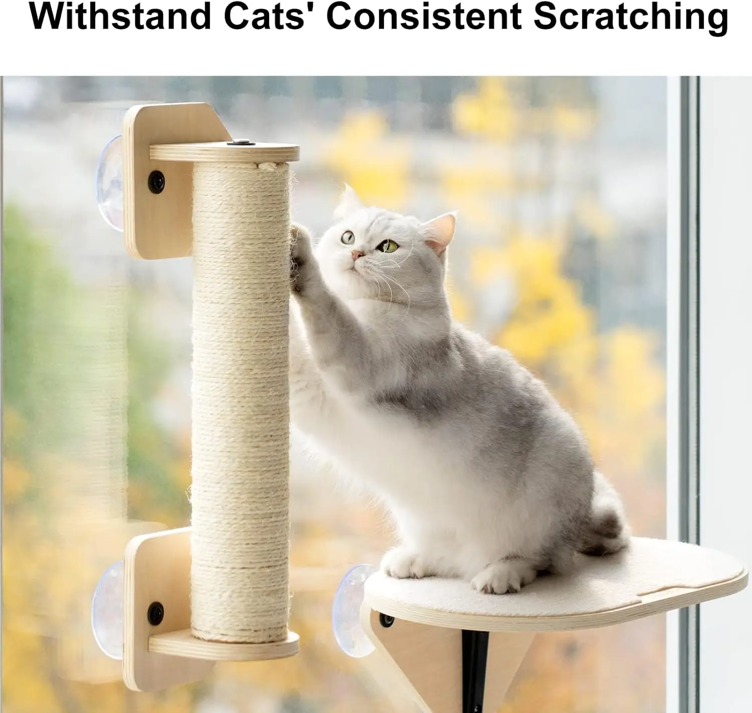 Kattenraam Ligbed 3-in-1 | Klimplank en Krabpaal Inclusief | Duurzaam Sisal & Polyester | Sterke Zuignappen | Stevige Basswood Constructie | Max 10 kg Capaciteit | Gemakkelijk Monteerbaar & Verplaatsbaar - Image 4