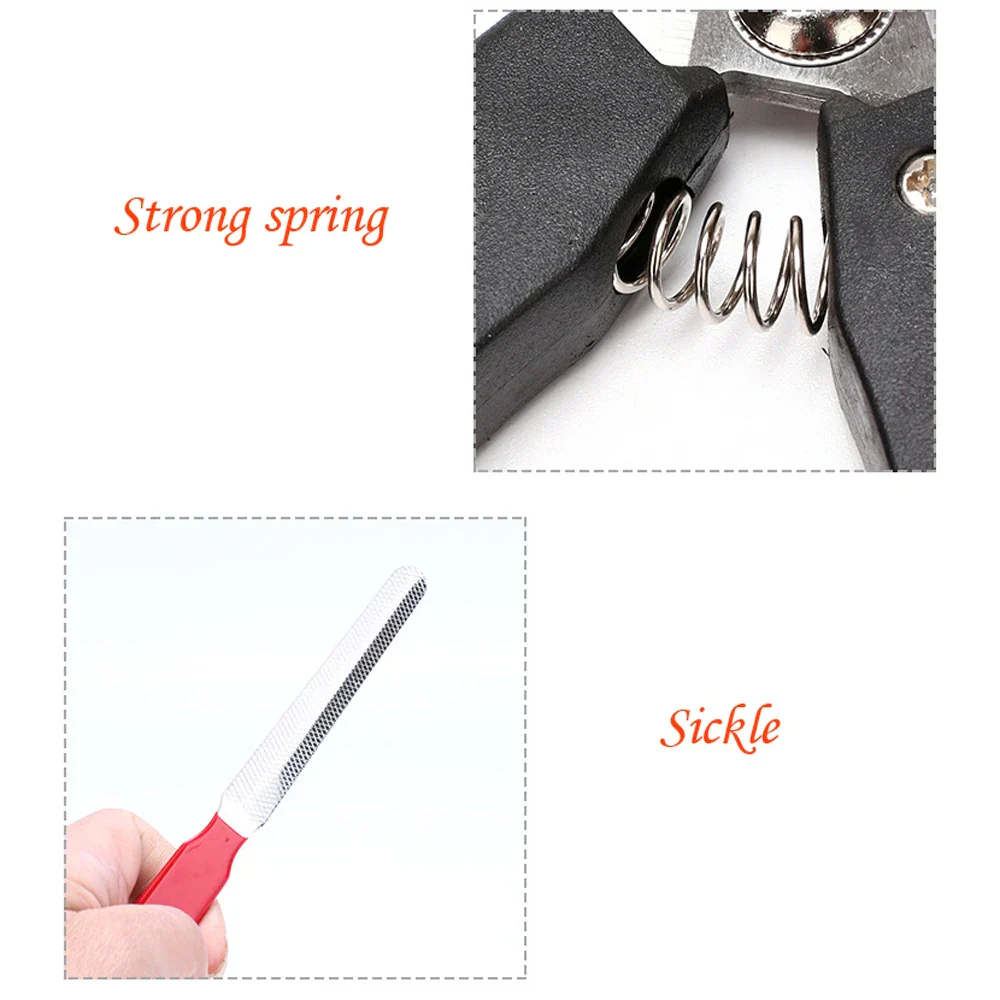 Duurzame Roestvrijstalen Nagelknipper voor Honden en Katten | Multifunctioneel met Comfortabele Rubberen Grip | Veilig en Precies Trimmen - Image 3