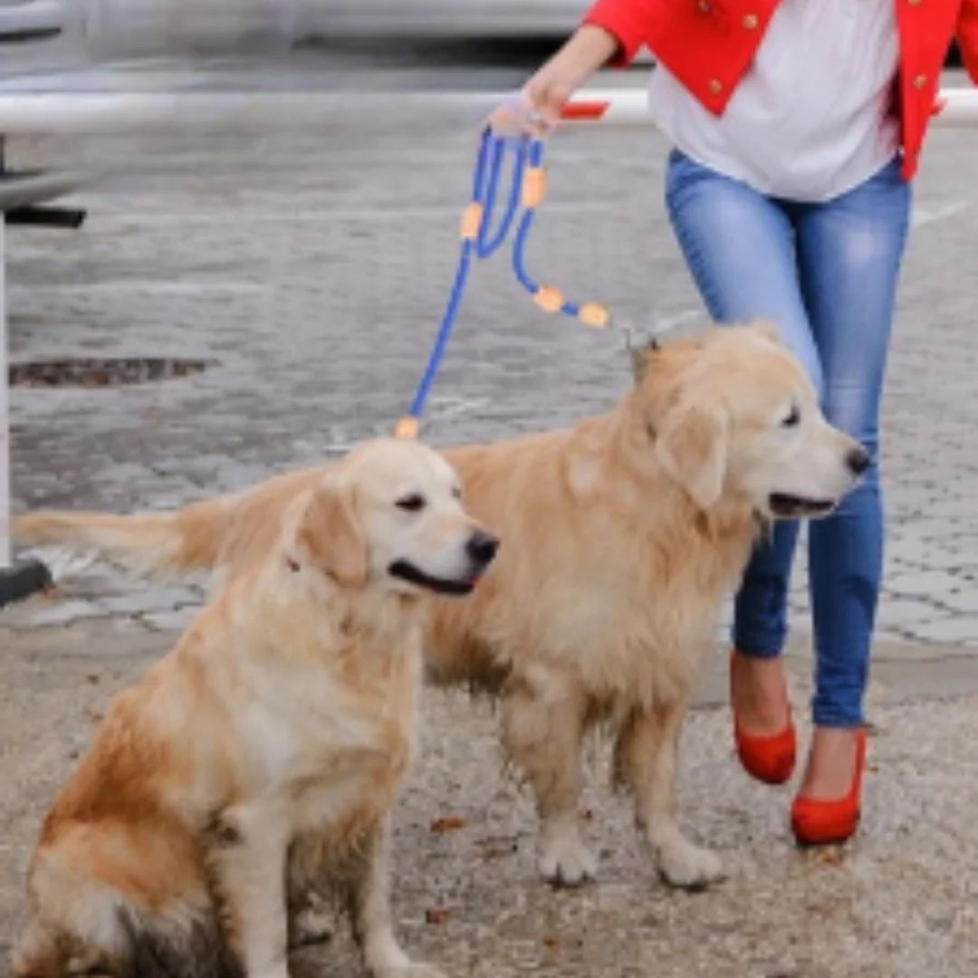 Hands-Free Nylon Riem | Verstelbare Dubbele Riem voor Honden | Antiklitontwerp | Comfortabele Grip voor Grote Honden | Ideaal voor Wandelen met Twee Honden - Image 2