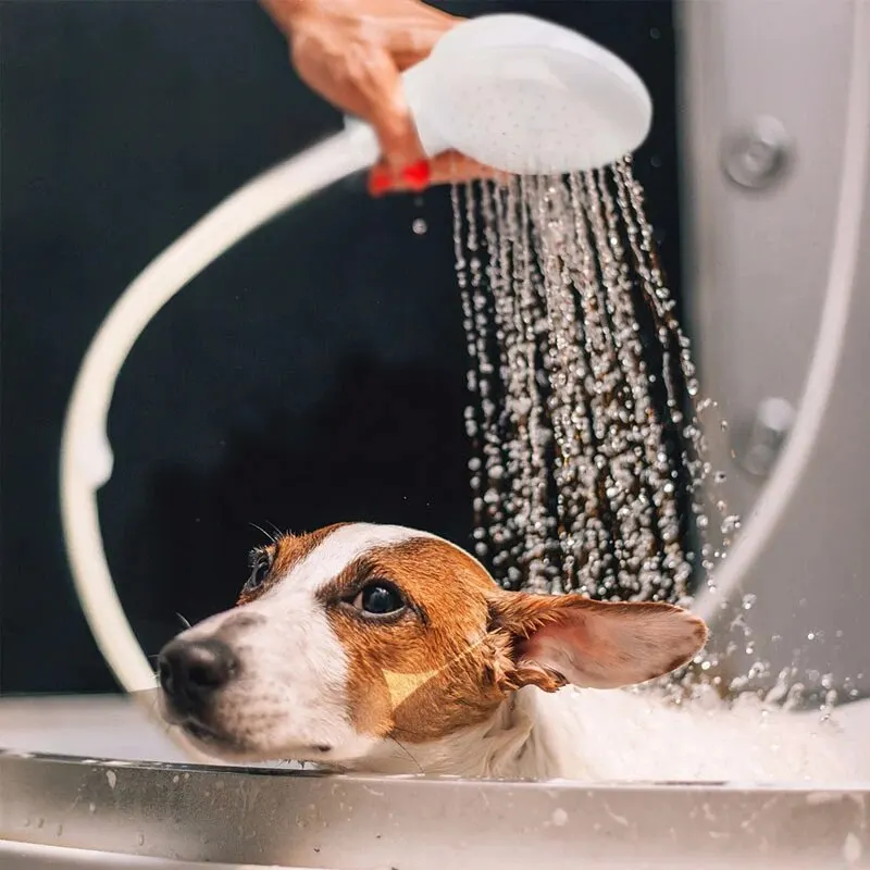 Multifunctionele Douchekop voor Huisdieren | Gemakkelijk Aan Te Sluiten | Flexibele Tuinslang | Ideaal voor Honden, Katten, Buitengebruik | Duurzaam ABS Material - Image 2