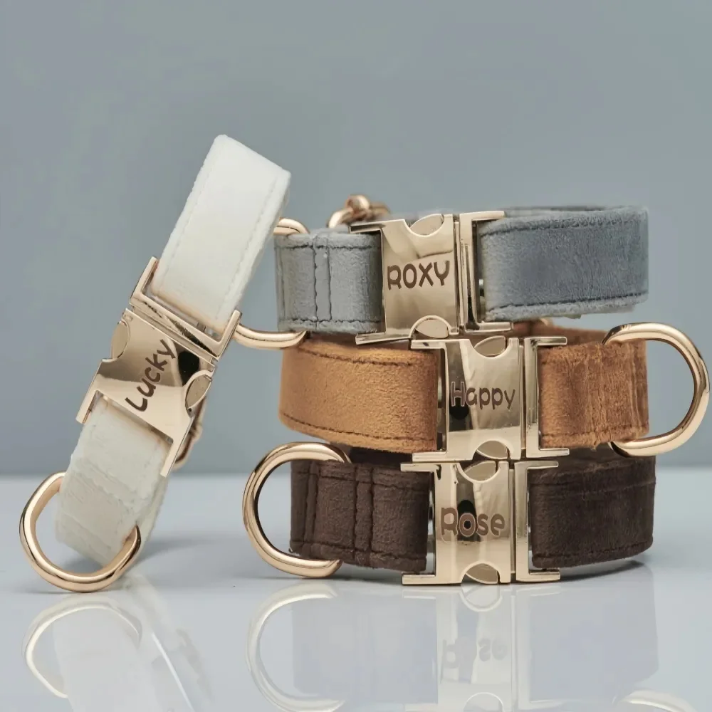 Fluwelen Hondenhalsband Ritssluitset | Gepersonaliseerd | Meerdere Kleuren | Bruin Grijs Wit | Metalen Gesp | Hondenriem | Bruiloft Geschikt - Image 3