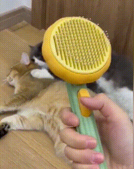 Nala | Ergonomische Huisdierborstel voor Alle Vachttypes | Zachte Massage en Effectieve Reiniging - Image 7