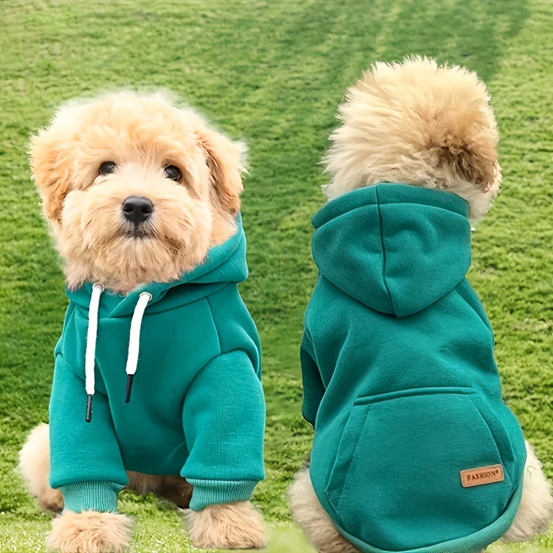 Hondentrui met capuchon | Geschikt voor Schnauzers | Pomeranians | Teddy honden | Pullover ontwerp | 65% katoen | Gebreide stof | Handwas | Ideaal voor kleine rassen | Gemaakt in Guangdong China