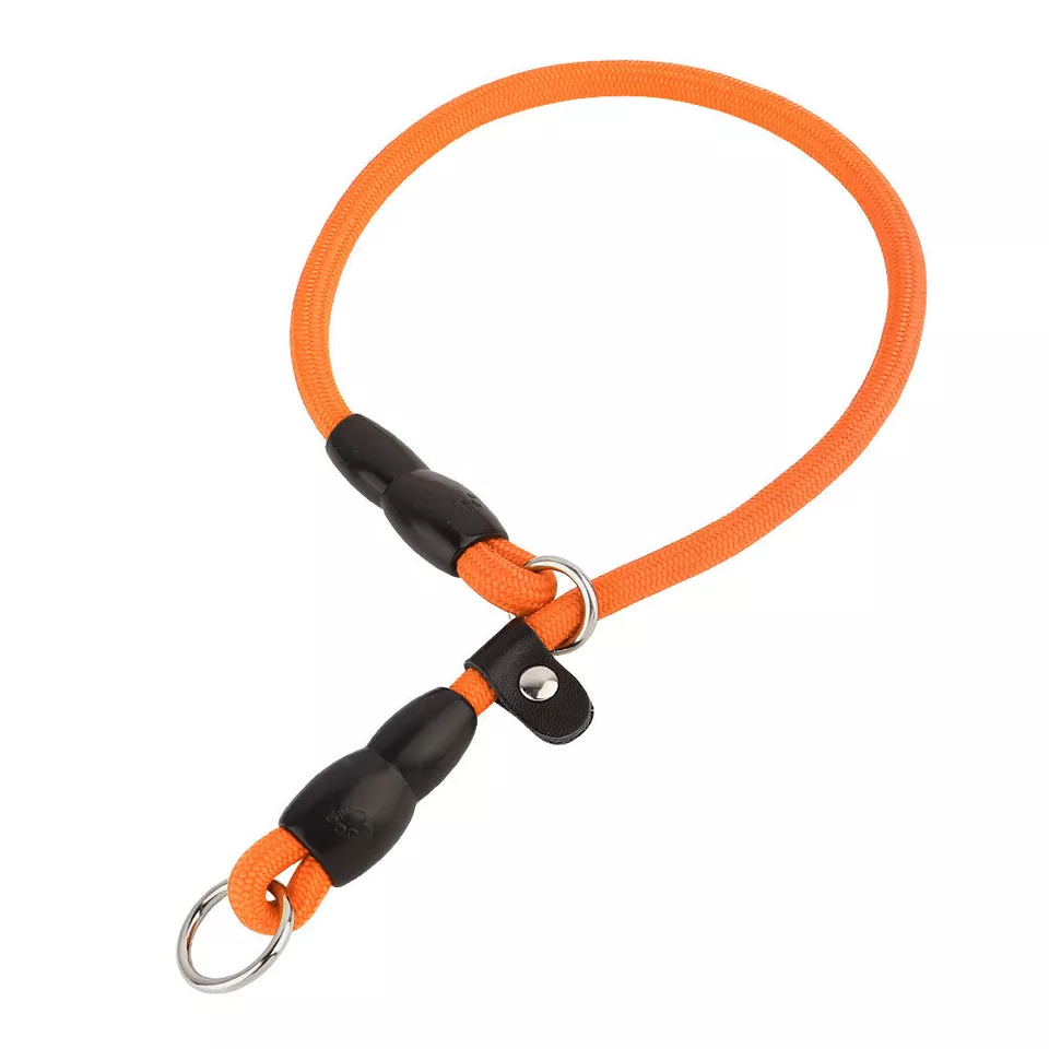 Nylon Verstelbare Halsband Voor Honden | Training en Wandelen | Hoogwaardige Veiligheidssluiting | Comfortabele Pasvorm | Geschikt Voor Alle Maten & Rassen | Rood, Blauw, Zwart of Oranje - Image 10