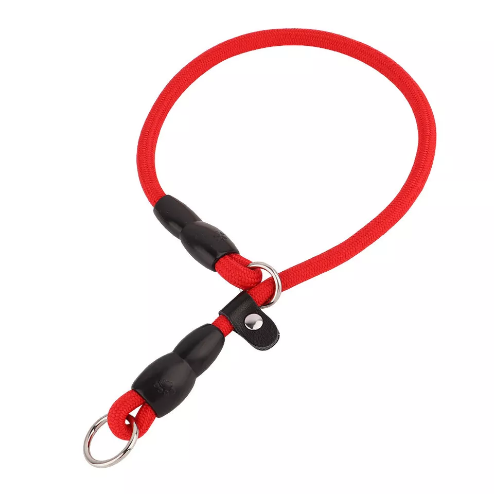 Nylon Verstelbare Halsband Voor Honden | Training en Wandelen | Hoogwaardige Veiligheidssluiting | Comfortabele Pasvorm | Geschikt Voor Alle Maten & Rassen | Rood, Blauw, Zwart of Oranje - Image 11