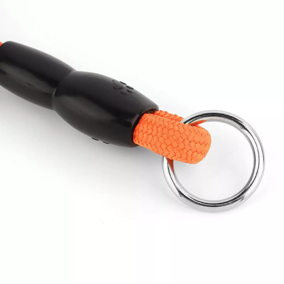 Nylon Verstelbare Halsband Voor Honden | Training en Wandelen | Hoogwaardige Veiligheidssluiting | Comfortabele Pasvorm | Geschikt Voor Alle Maten & Rassen | Rood, Blauw, Zwart of Oranje - Image 4
