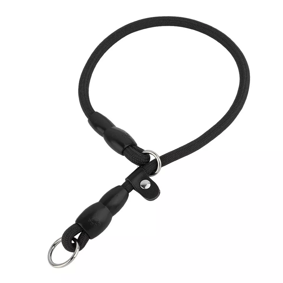 Nylon Verstelbare Halsband Voor Honden | Training en Wandelen | Hoogwaardige Veiligheidssluiting | Comfortabele Pasvorm | Geschikt Voor Alle Maten & Rassen | Rood, Blauw, Zwart of Oranje - Image 8