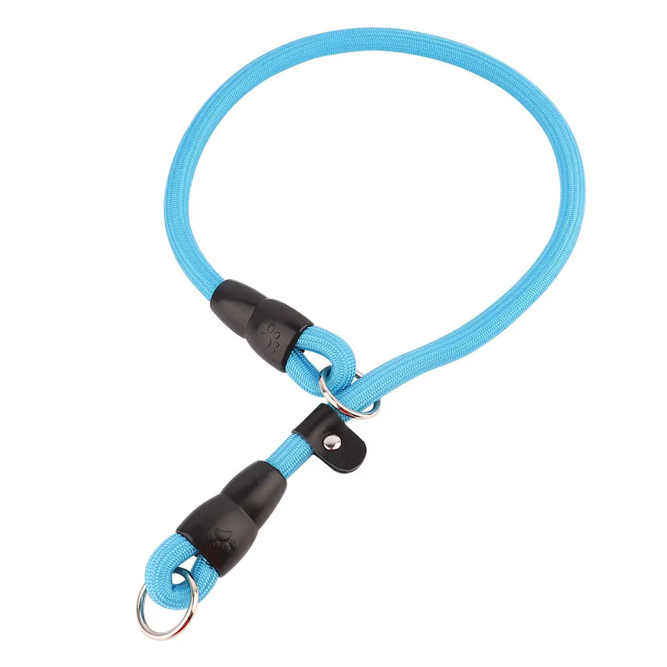 Nylon Verstelbare Halsband Voor Honden | Training en Wandelen | Hoogwaardige Veiligheidssluiting | Comfortabele Pasvorm | Geschikt Voor Alle Maten & Rassen | Rood, Blauw, Zwart of Oranje - Image 9