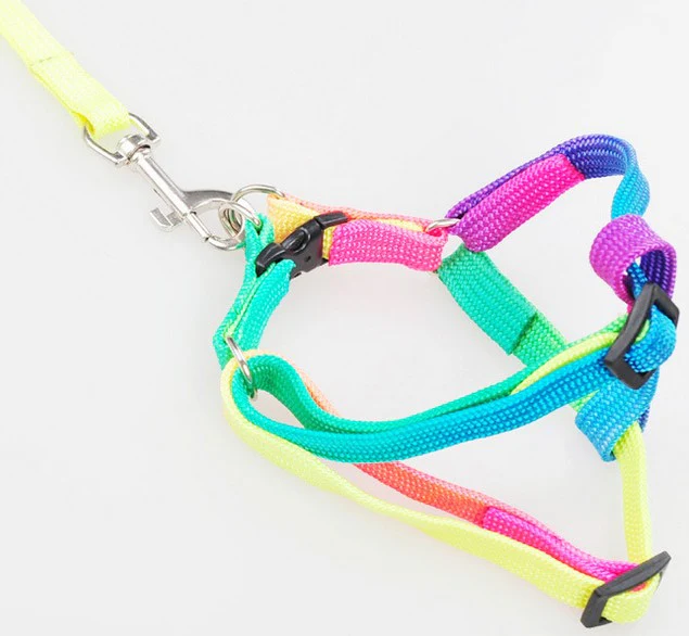 Regenboog Nylon Huisdier Harnas Set | Verstelbaar en Ergonomisch | 120cm Lijn | Comfortabel, Duurzaam en Kleurrijk Design - Image 6