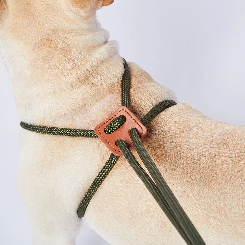 Nylon Trainingslijn voor Honden | Weerbestendig | 143 cm | Veelzijdig en Lichtgewicht | Meerdere Kleuren Beschikbaar