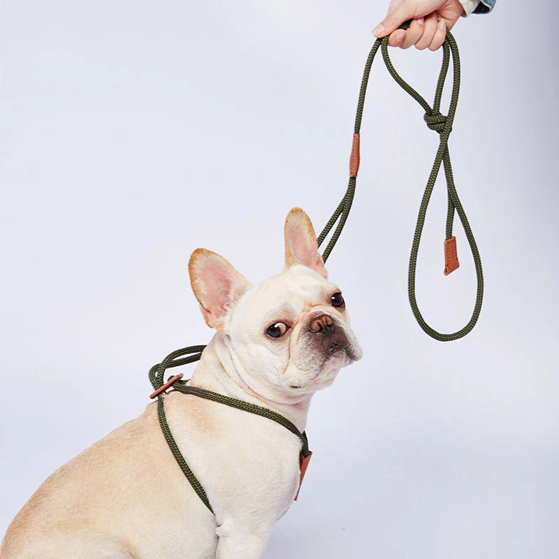Nylon Trainingslijn voor Honden | Weerbestendig | 143 cm | Veelzijdig en Lichtgewicht | Meerdere Kleuren Beschikbaar - Image 2