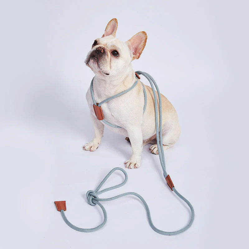 Nylon Trainingslijn voor Honden | Weerbestendig | 143 cm | Veelzijdig en Lichtgewicht | Meerdere Kleuren Beschikbaar - Image 3