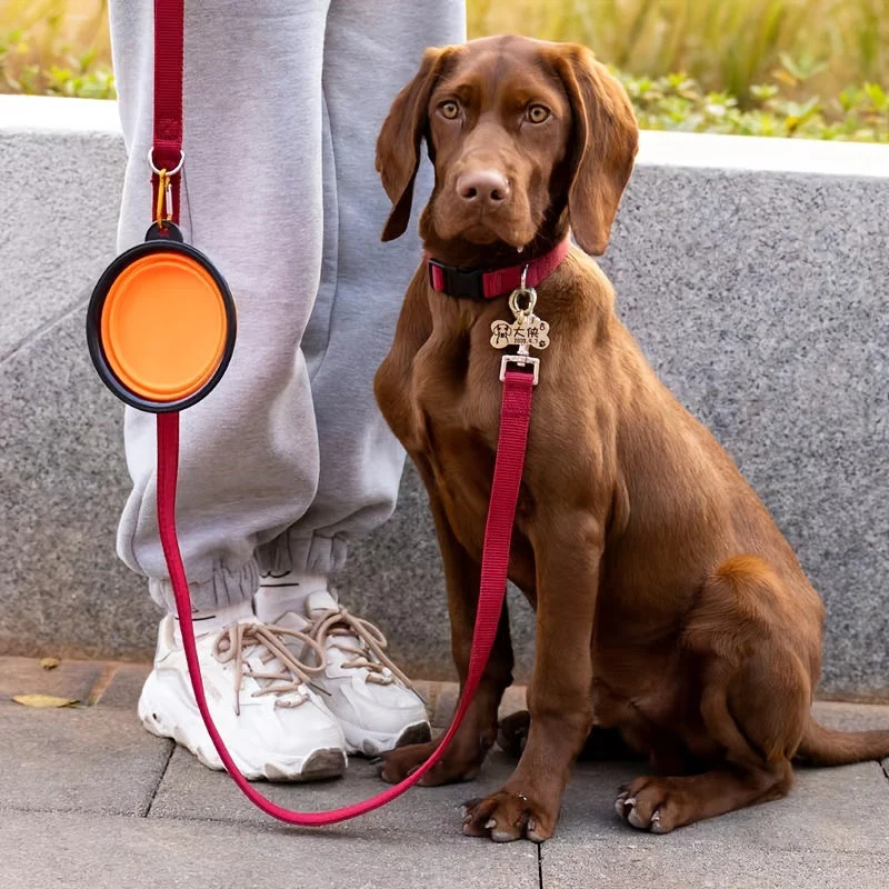 Opvouwbare voerbak voor honden en katten | Duurzaam TPR-rubber | Met karabijnhaak | Compact & lichtgewicht | Ideaal voor onderweg, reizen of wandelingen | Geschikt voor water en voer - Image 14