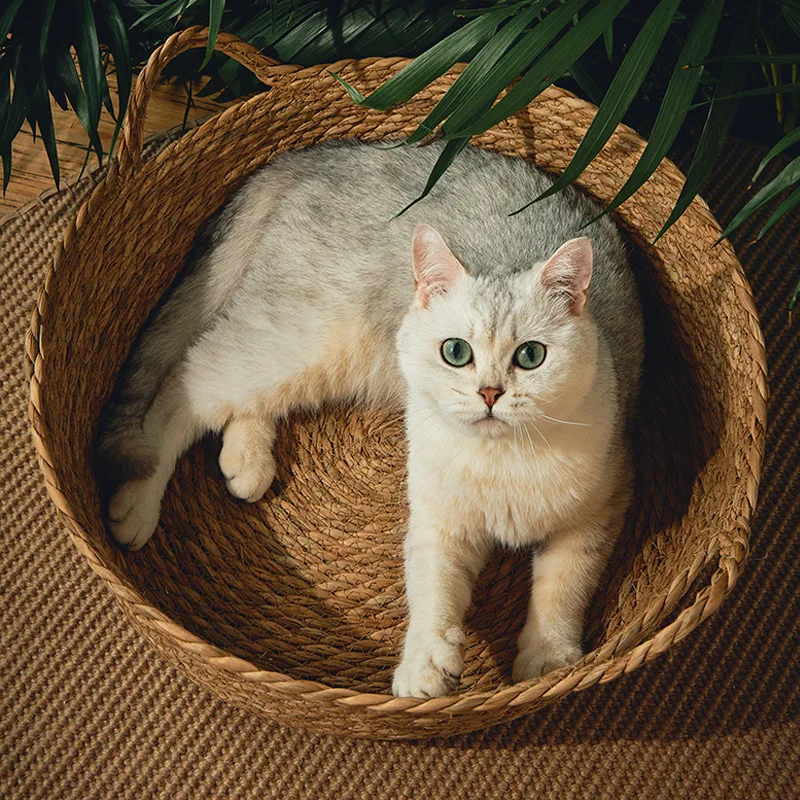 Ronde Rattan Mand | Ademend Huisdierenbed | Katten en Puppy's | Zomerkoel Bamboe Weefhuis | Comfortabel Slaaphol | Dierenvriendelijk ontwerp - Image 4