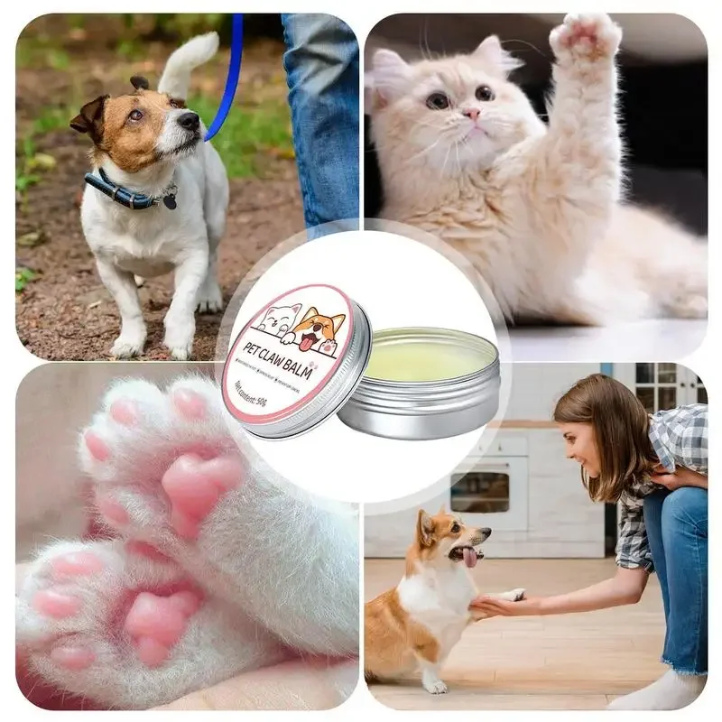 Pawfect Care | Voedende Balsem voor Neuzen en Poten van Huisdieren | Geschikt voor Honden en Katten | Weerbestendig | 50g - Image 3