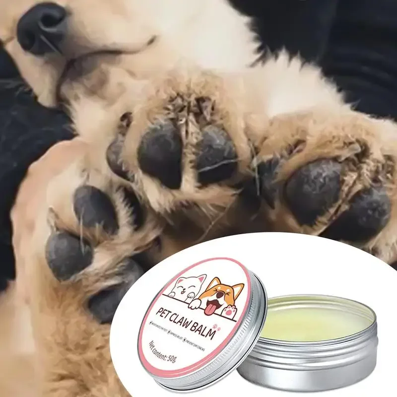 Pawfect Care | Voedende Balsem voor Neuzen en Poten van Huisdieren | Geschikt voor Honden en Katten | Weerbestendig | 50g - Image 5