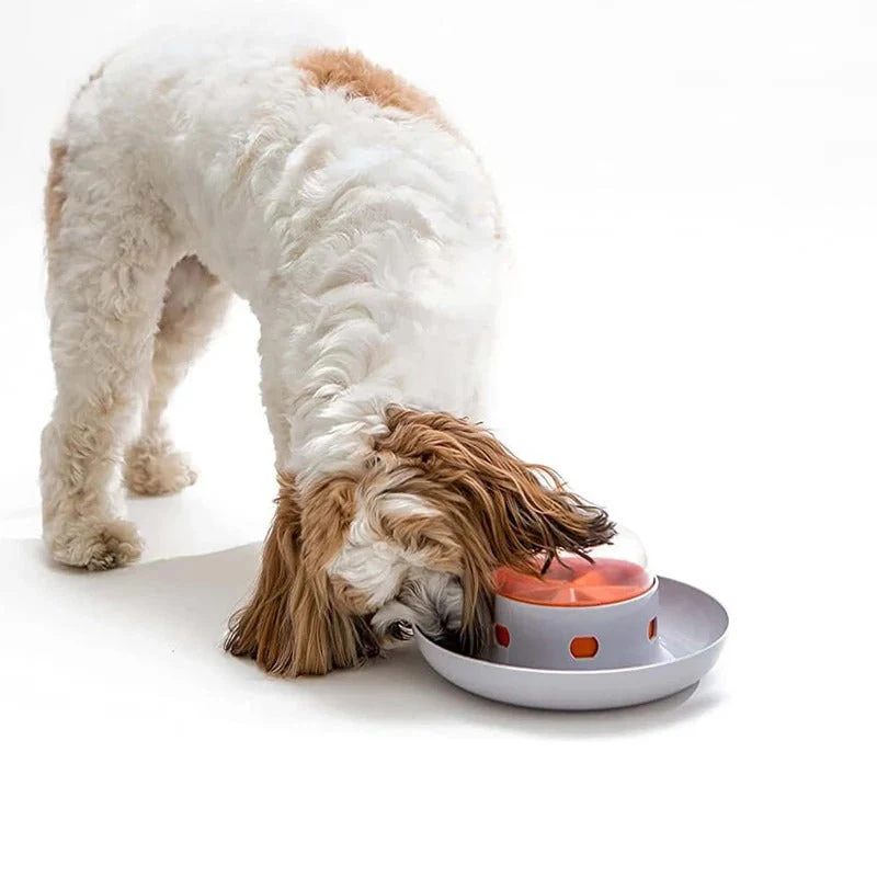 PawMaze interactieve hondenvoerbak | Slowfeeder voor langzamer eten | Mentale stimulatie | Voedselveilig en duurzaam | Geschikt voor alle hondenrassen - Image 4