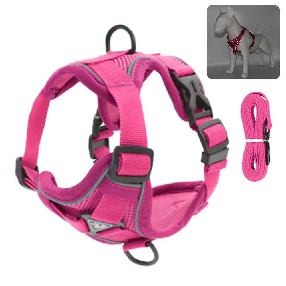 PawSecure | Veilig en Comfortabel Buitenharnas voor Honden en Katten | Reflecterend en Ademend Mesh | Verschillende Maten en Kleuren - Image 10