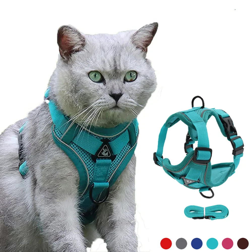 PawSecure | Veilig en Comfortabel Buitenharnas voor Honden en Katten | Reflecterend en Ademend Mesh | Verschillende Maten en Kleuren - Image 2
