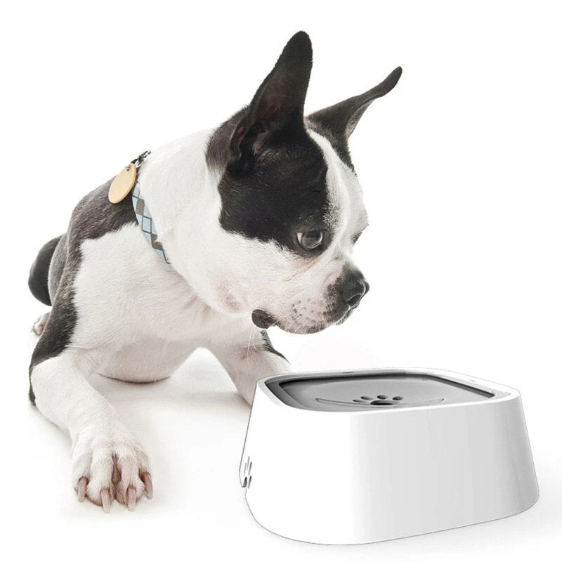 PawsFlow Hondendrinkfontein 2L | Voorkomt Morsen | BPA-vrij Plastic | Vers Water | Eenvoudig Reinigbaar | LED Waterniveau-indicator - Image 8