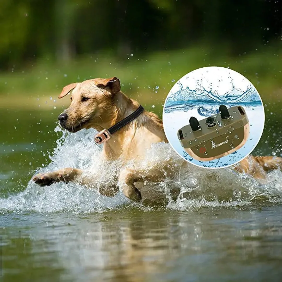 Trainingshalsband voor Honden | Verstelbaar | Bereik 670m | Waterdicht | Draadloze Communicatie | Lange Batterijduur | Intuïtieve Bediening | Veelzijdige Trainingsmodi | Veilig en Duurzaam - Image 5