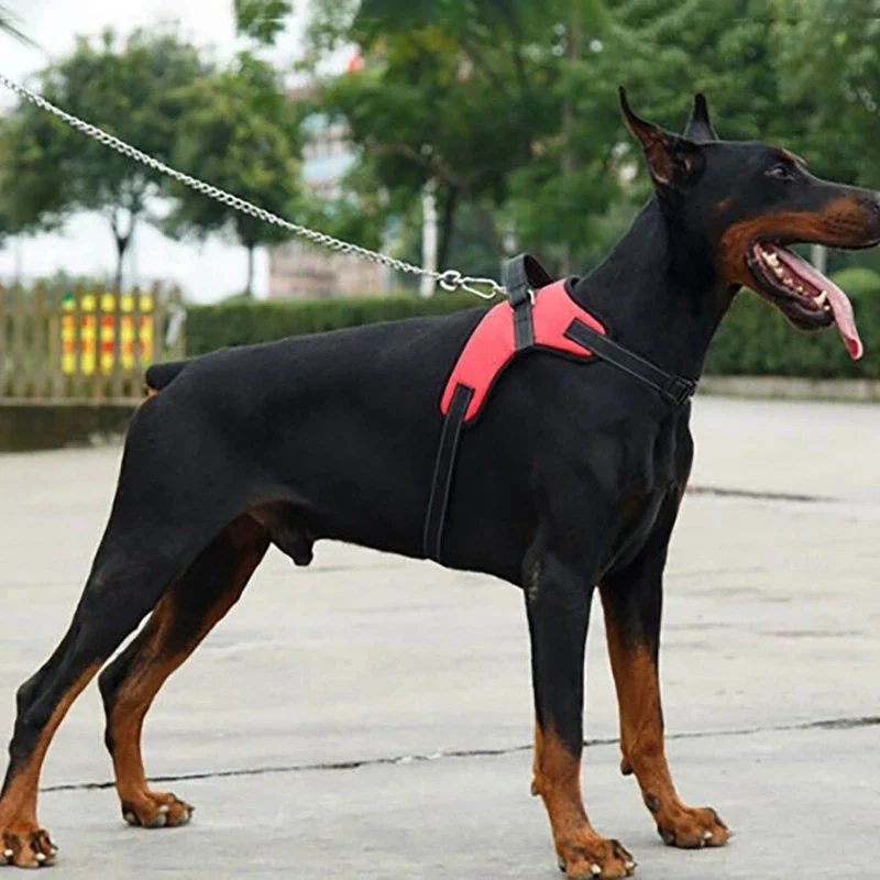 Hondenharnas Verstelbaar | Nylon Reflecterend | Geschikt voor Alle Honden | 150cm Sterke Riem | Zwart Rood Camouflage Luipaard | Alle Seizoenen Draagcomfort | Duurzaam en Veilig - Image 5