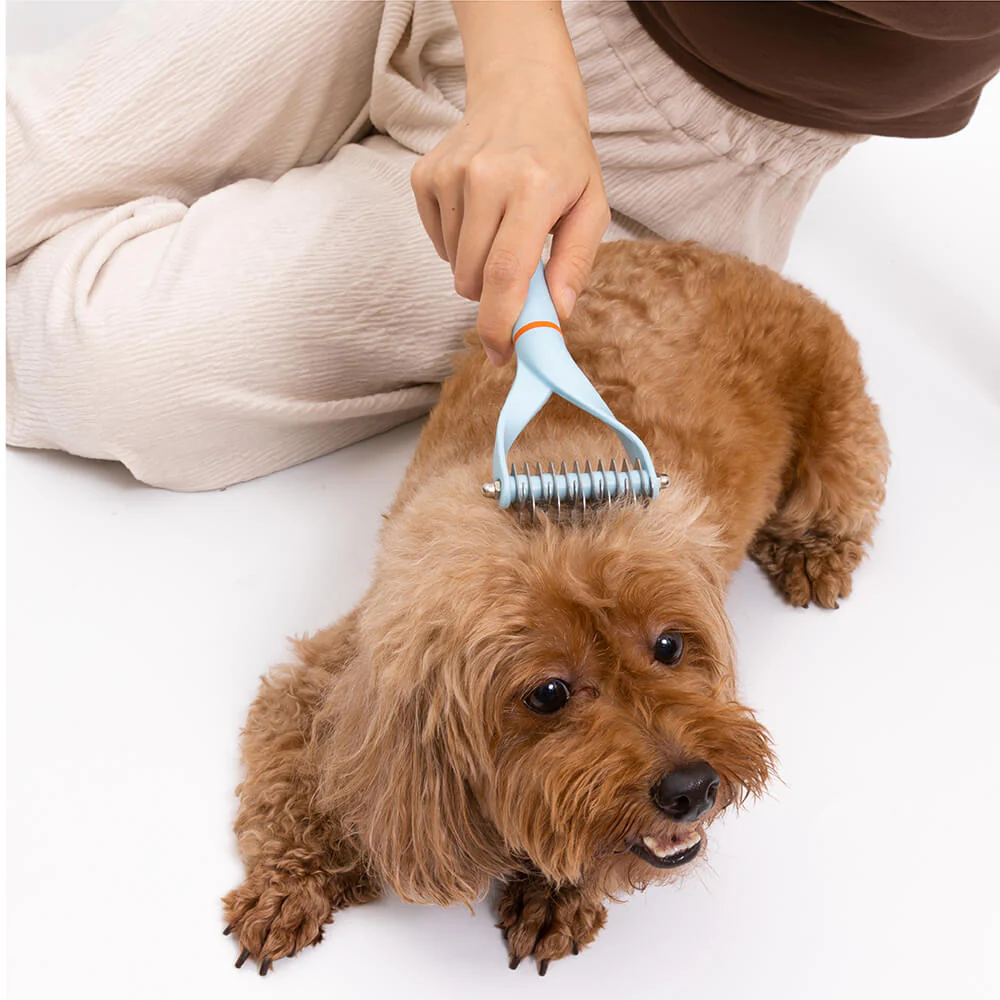 Pet Safe Ontwarrende Kam met Dubbele Bladen voor Klitvrije Hondenvacht | Ergonomische Handvat | Voor Zachte Massage - Image 9