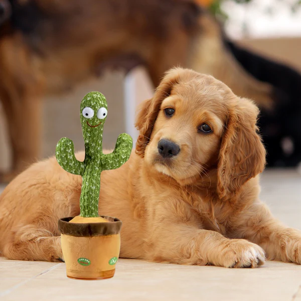 Interactieve Pratende Cactus voor Honden | Geluid en Beweging | Duurzaam Pluche | Oplaadbaar Speelgoed voor Mentale Stimulatie en Vermaak