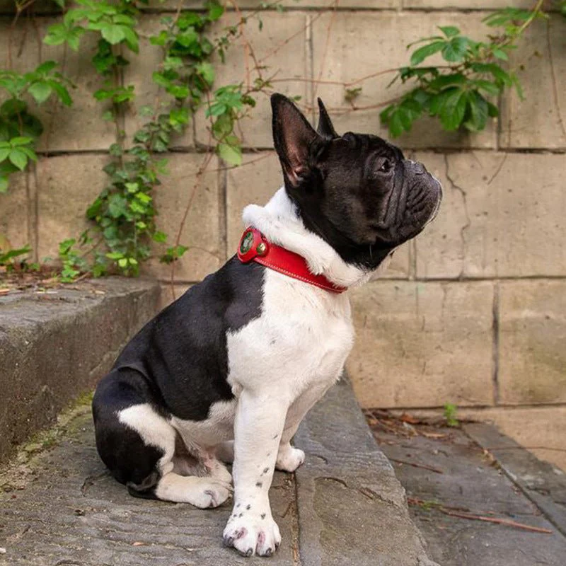 Premium AirTag Lederhalsband voor Honden - Waterdicht, Verstelbaar en Veilig - Image 2