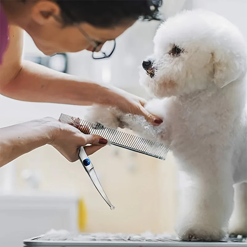 Verzorgingsset huisdieren | 2 roestvrijstalen scharen met ronde punten | Kam inbegrepen | Voor honden en katten | Inclusief opbergetui | Vachtverzorging veilig en eenvoudig - Image 7