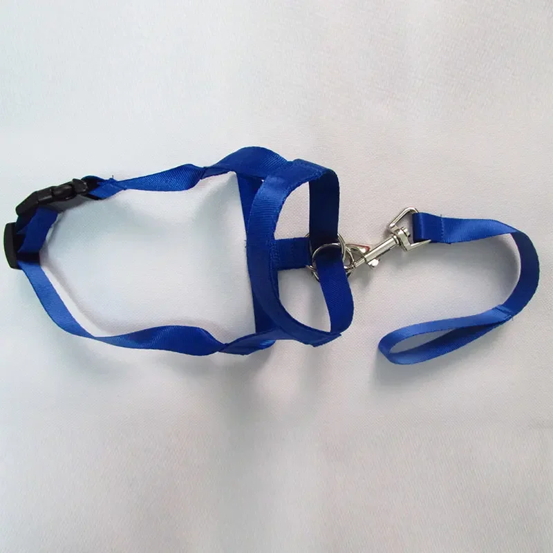 QuietFit Nylon Hondenmuilband | Verstelbaar en Comfortabel | Beschikbaar in Meerdere Kleuren en Maten S tot 2XL - Image 10