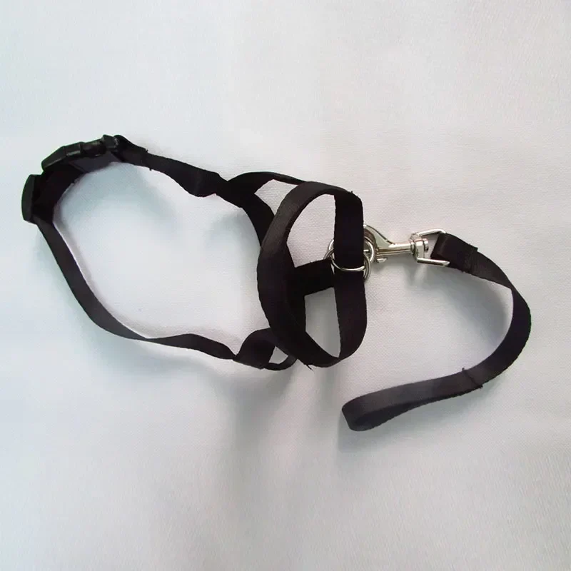 QuietFit Nylon Hondenmuilband | Verstelbaar en Comfortabel | Beschikbaar in Meerdere Kleuren en Maten S tot 2XL - Image 11