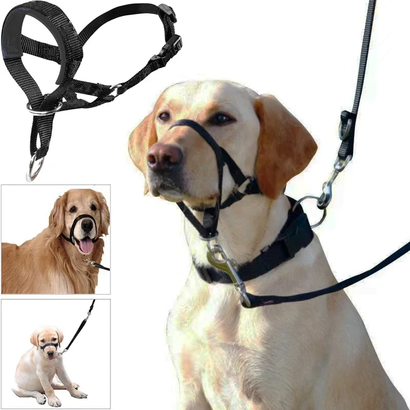 QuietFit Nylon Hondenmuilband | Verstelbaar en Comfortabel | Beschikbaar in Meerdere Kleuren en Maten S tot 2XL - Image 2