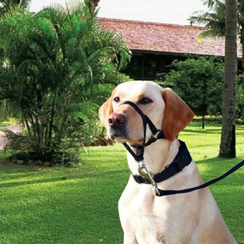 QuietFit Nylon Hondenmuilband | Verstelbaar en Comfortabel | Beschikbaar in Meerdere Kleuren en Maten S tot 2XL - Image 3