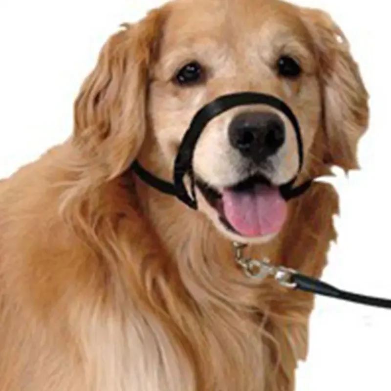 QuietFit Nylon Hondenmuilband | Verstelbaar en Comfortabel | Beschikbaar in Meerdere Kleuren en Maten S tot 2XL - Image 5