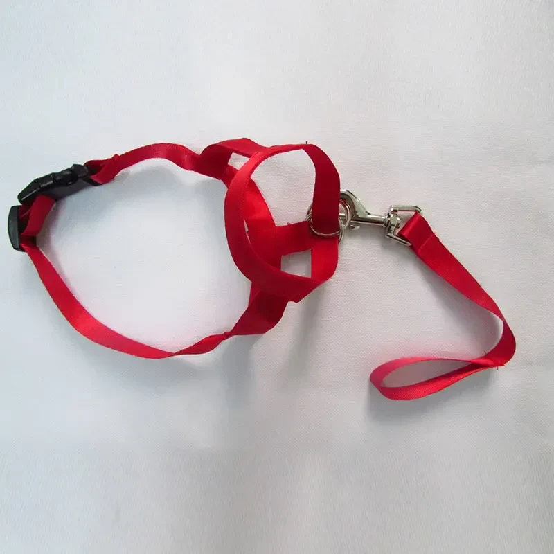 QuietFit Nylon Hondenmuilband | Verstelbaar en Comfortabel | Beschikbaar in Meerdere Kleuren en Maten S tot 2XL - Image 6