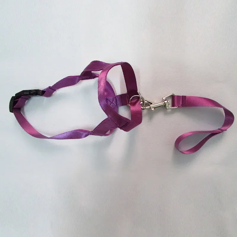 QuietFit Nylon Hondenmuilband | Verstelbaar en Comfortabel | Beschikbaar in Meerdere Kleuren en Maten S tot 2XL - Image 8
