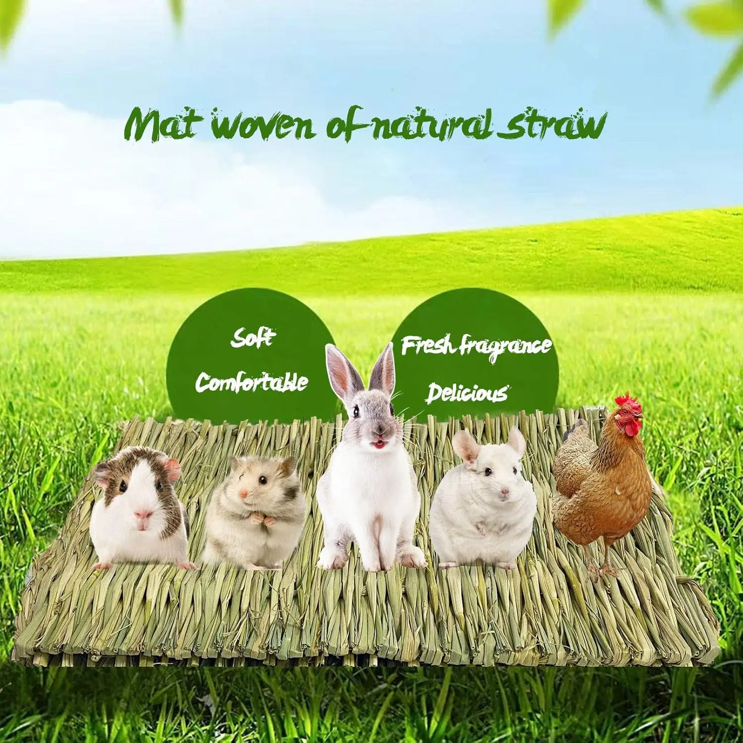 Konijnen Grasmat Set | Natuurlijk Geweven | Veilig Speelgoed Kleine Dieren | 5 Stuks | icobbler - Image 2