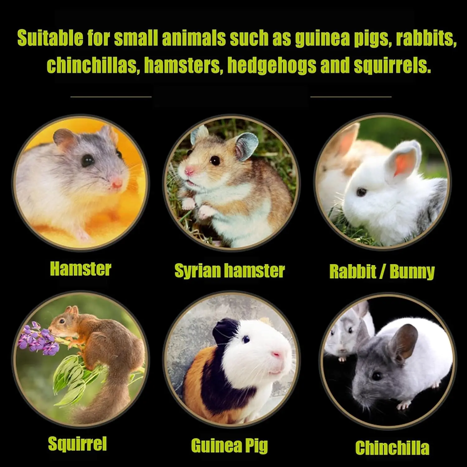 Konijnen Grasmat Set | Natuurlijk Geweven | Veilig Speelgoed Kleine Dieren | 5 Stuks | icobbler - Image 6