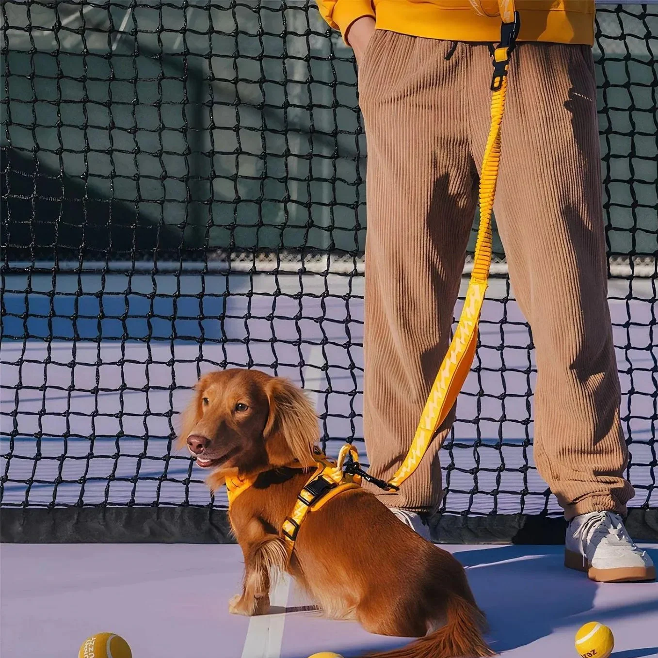 ReflectaWalk Lead | Duurzame Dubbelzijdige Riem voor Grote Honden