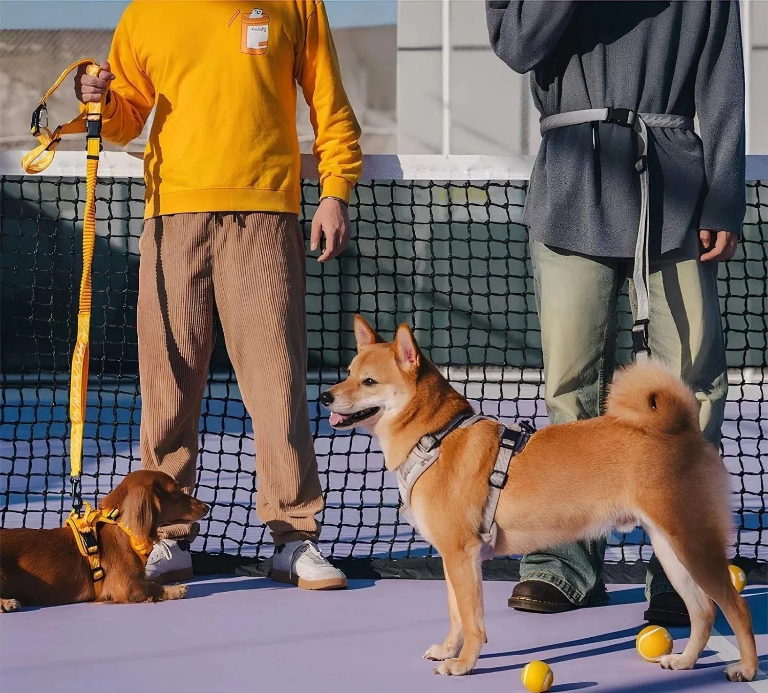 ReflectaWalk Lead | Duurzame Dubbelzijdige Riem voor Grote Honden - Image 2