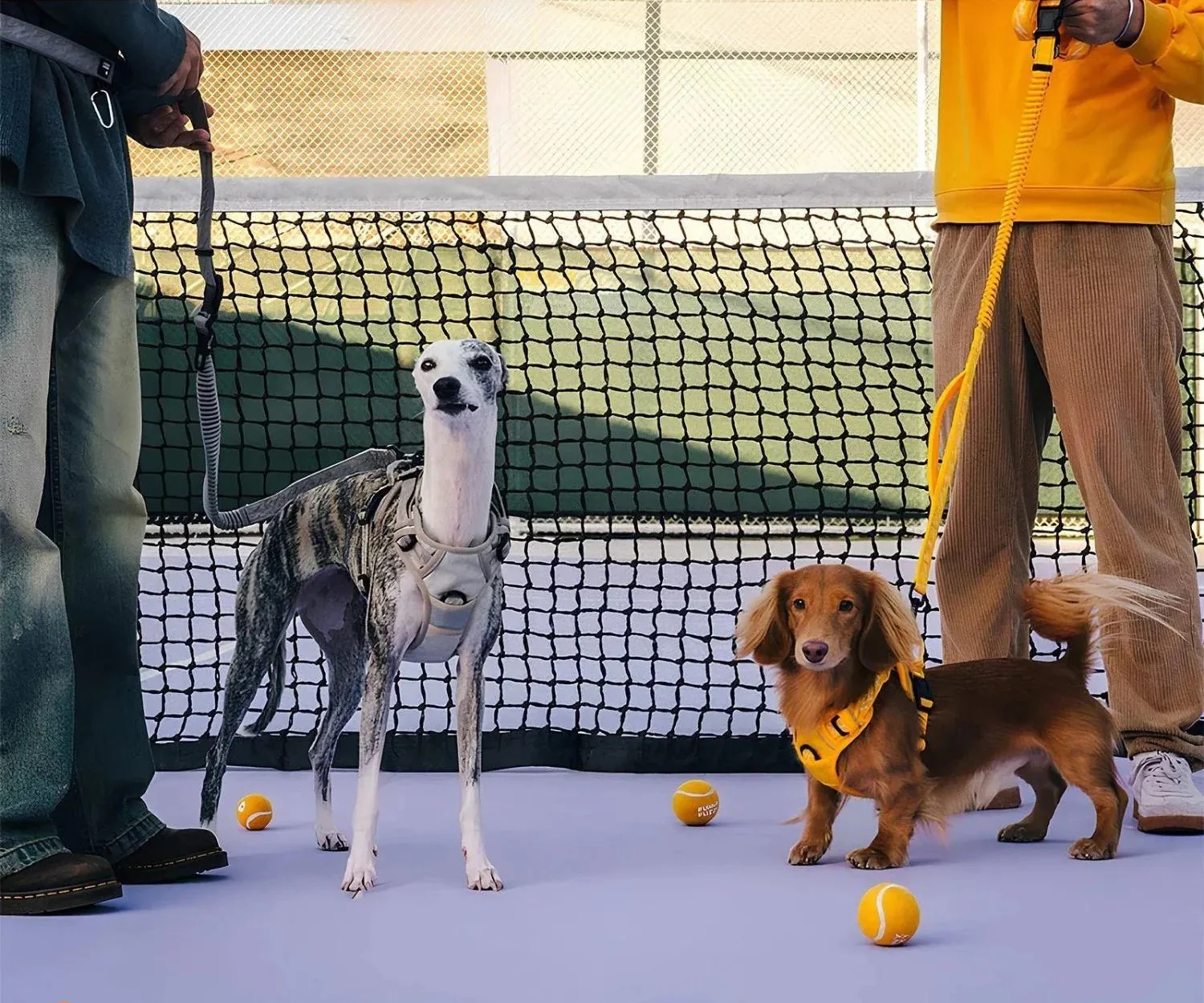 ReflectaWalk Lead | Duurzame Dubbelzijdige Riem voor Grote Honden - Image 3